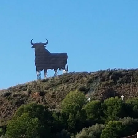 Spirit Boliches Apartment *