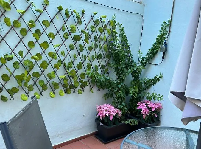 Apartment Spirit Boliches Fuengirola